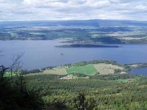 Utsiktpunkt over m&oslash;rkganga, krokskogen